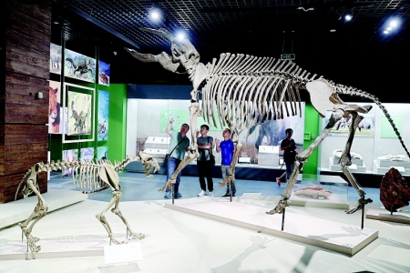 <br>          6月29日晚，山西博物院“从鱼到人的生命之旅”展览迎接首批观众。 本报记者 胡远嘉 摄<br><br>        