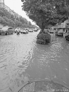 <br>          暴雨突袭后的宿州市街道<br><br>        