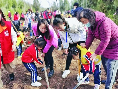 <br>          孩子们参与其中，与小树共成长。 图片由通讯员 柳亚军提供<br><br>        