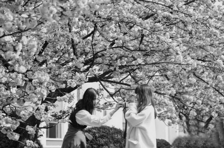 <br>          近日，位于贵阳市花溪区的贵州民族大学校园内樱花盛开，吸引学生驻足赏花、拍照。 据中国新闻网<br><br>        
