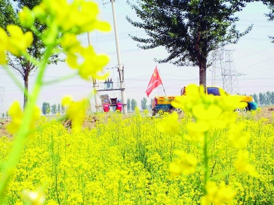 <br>              党 员 服务队在忻府区忻口镇下曹村油菜花种植基地检测排灌变台运行情况。彭建有 摄<br><br>        