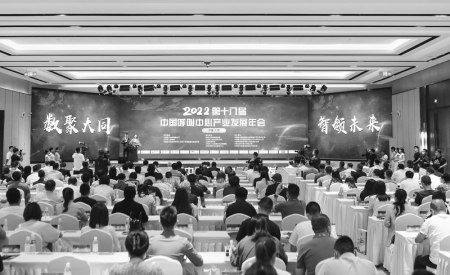 <br>          第十八届中国呼叫中心产业发展年会现场<br><br>        