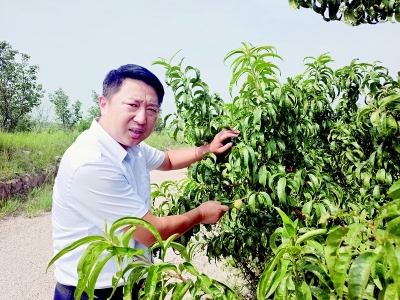           用专业技术呵护每一株农作物 图片由受访者提供        
