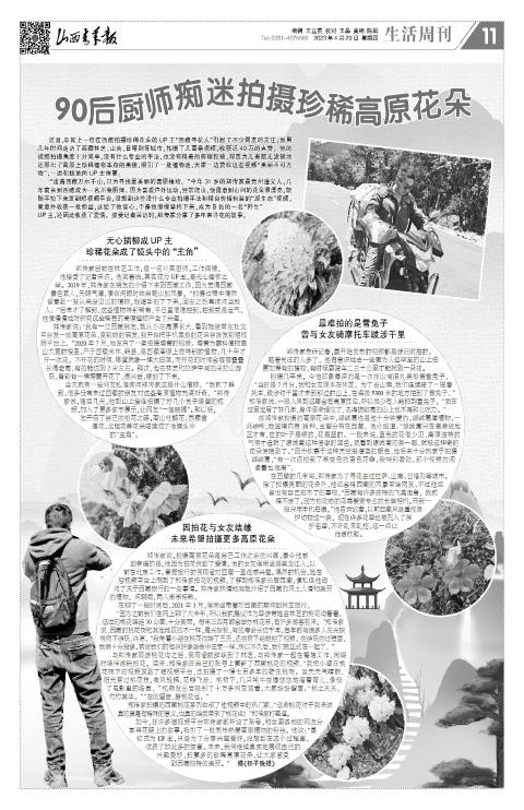 第11版