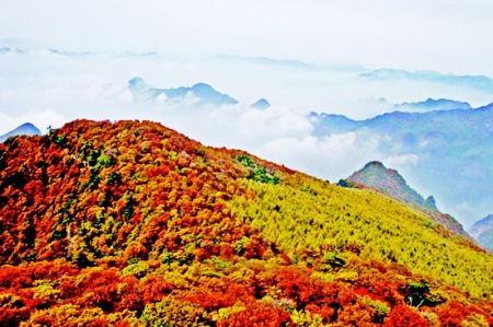           历山        