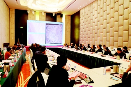           黄河文化石窟寺保护成果交流座谈会现场 图片由太原市文物局提供        