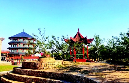           稷山国家板枣公园        
