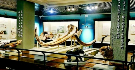 <br>          榆社化石博物馆<br><br>        