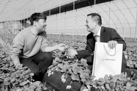          百姓银行为乡村发展注入了真金白银 图片由夏县农商银行提供        