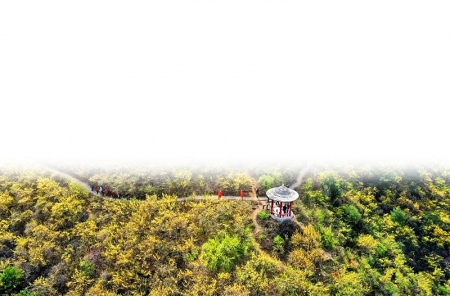           黄花岭        