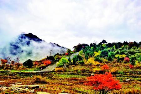           王莽岭景区        