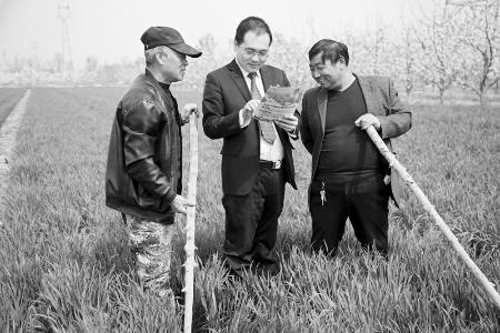           山西农商银行以金融力量精准赋能农业生产 图片由山西农商银行提供        
