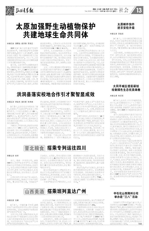 第13版