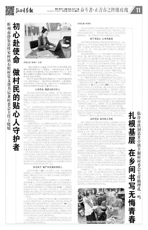 第11版