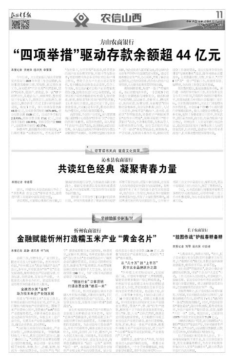 第11版