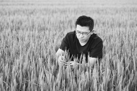           扎根基层助力乡村振兴 图片由受访者提供        