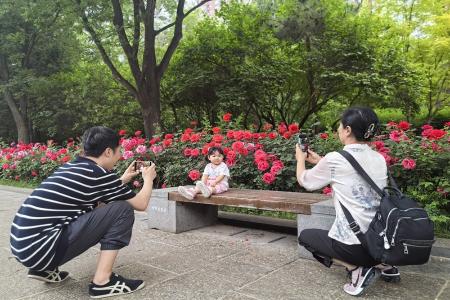           本报记者 任小芳 摄        