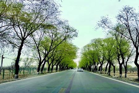           旅游公路 本报记者 任小芳 摄        