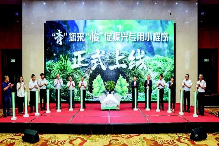           本报记者 胡远嘉 摄        