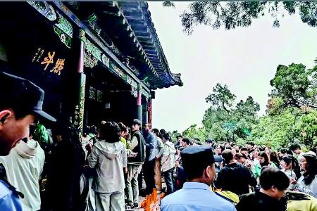           图片由高梓瑜提供        