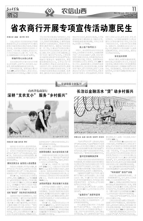 第11版