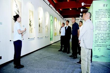           2025竹报平安董寿平主题竹画展举行 图片由太原市文物局提供        