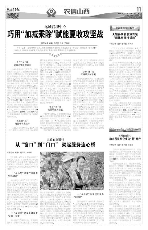 第11版