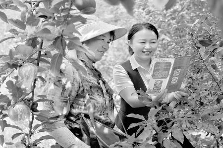           灵丘农商银行全力打造“家门口银行” 图片由灵丘农商银行提供        