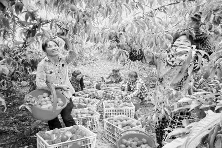           长子农商银行为县域经济注入动力 图片由长子农商银行提供        