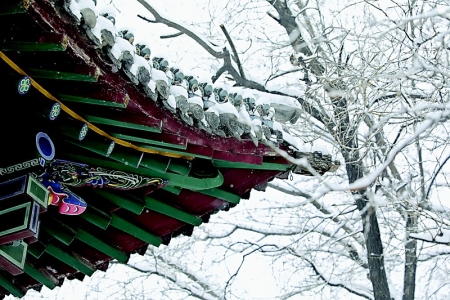           环卫工人在清理五一广场积雪        