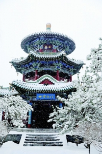           迎泽公园雪景        