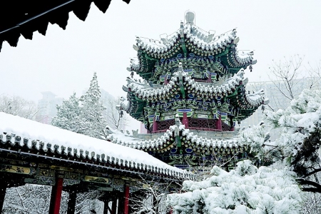           市民在学府公园露台翩翩起舞        