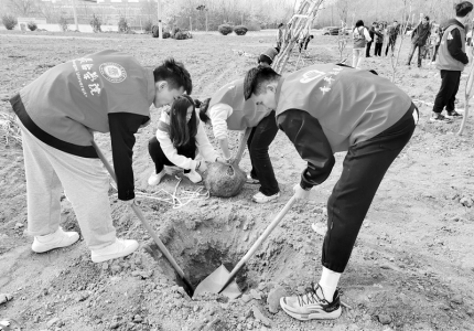           以实际行动为生态城市建设贡献力量        