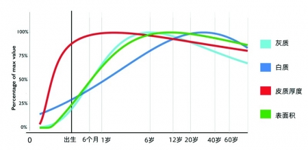           中国健康人群全年龄段标准脑库        