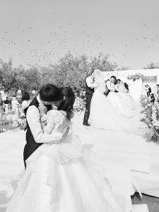           本组图片均由团稷山县委提供        