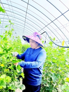           以满腔热血投身乡村振兴中 图片由受访者提供        