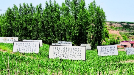           本次展览方式新颖独特        