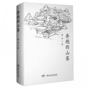           书名：《奔跑的山寨》作者：谭谈出版社：湖南文艺出版社        