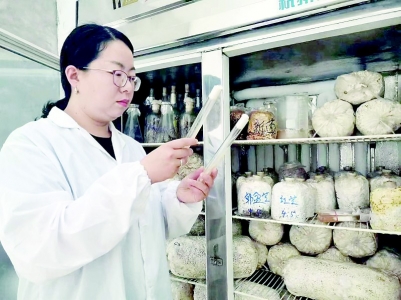           带领农民高质量生产菌类 图片由受访者提供        