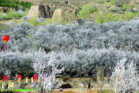           游长城、观古堡、赏花海。 本报记者 胡远嘉 摄        