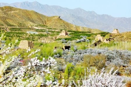           守口堡 本报记者 胡远嘉 摄        