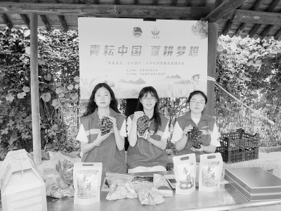           大学生直播助农 图片由共青团垣曲县委提供        