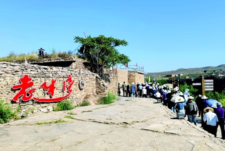           参会代表实地观摩 本版摄影 本报记者 李芸红        