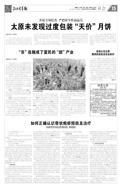 山西青年报2023年09月15日头版