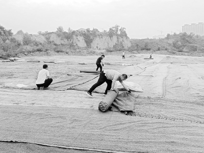           太原开展“停车难”综合治理        