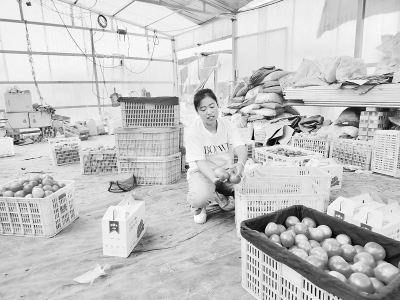           贾丽表示，要想当好农民，光靠吃苦是不行的。 图片由受访者提供        