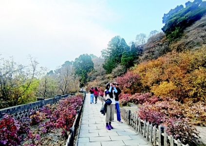           龙山秋景引客来        