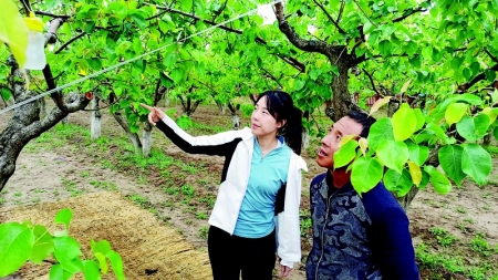           积极投身于数字乡村建设 图片由受访者提供        