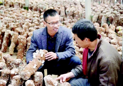 黄超为菇农讲解种植技术 图片由受访者提供