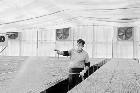 山西农信努力为服务“三农”和小微企业提供强有力金融支撑 通讯员 王学冕 摄